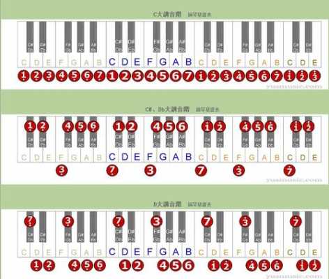钢琴共有几个键组成 钢琴共有几个键