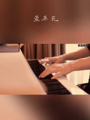 赵海洋钢琴曲视频播放-图2