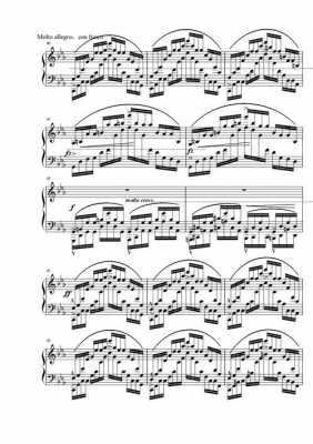 肖邦大海钢琴谱-图3