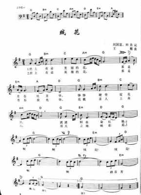 包含中国乐谱网绒花钢琴的词条