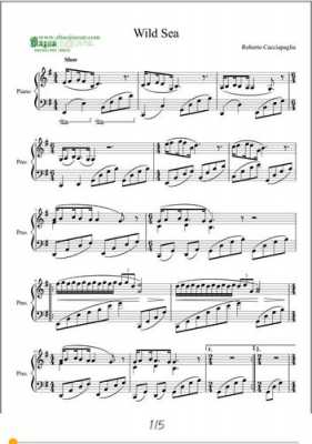 wildsea钢琴谱-图3