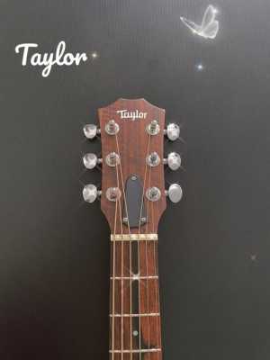有个牌子电吉他叫什么泰勒的