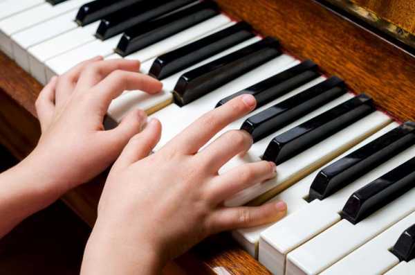 弹钢琴的小手图片_弹钢琴的手的姿势图片-图3
